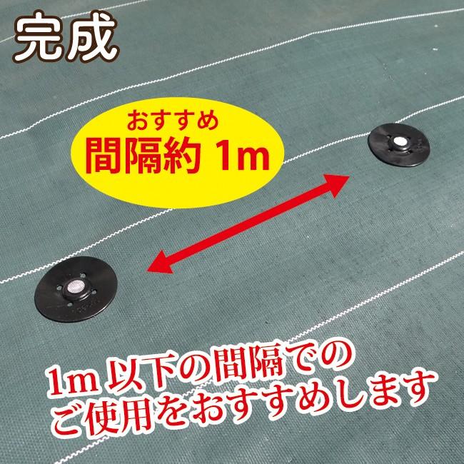 ダイオ化成 防草シート用 押さえ釘 cm パットセット 50セット入 押え ピン シート マルチ 防草 草よけ 防虫 不織布 トンネル 園joy Marutoyo 通販 Yahoo ショッピング