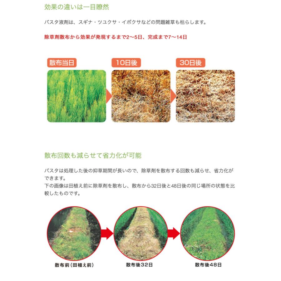 ブランド ＢＡＳＦ バスタ液剤 500ml ケース売り（20本入）【除草 除草剤 液剤 うすめて使う 雑草 便利 広範囲】 【RIZ5947442322】(20904円)