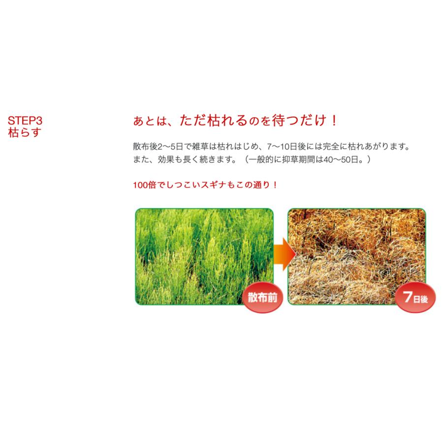 ブランド ＢＡＳＦ バスタ液剤 500ml ケース売り（20本入）【除草 除草剤 液剤 うすめて使う 雑草 便利 広範囲】 【RIZ5947442322】(20904円)