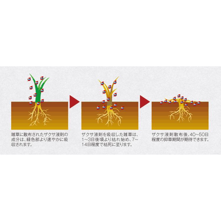ｍｅｉｊｉ ザクサ液剤 500ml 除草 除草剤 液剤 うすめて使う 雑草 便利 広範囲 園joy Marutoyo 通販 Yahoo ショッピング