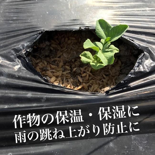 岡山県産 もみがら 約20L 【モミ】【籾】【籾殻】【籾がら】 : 園joy