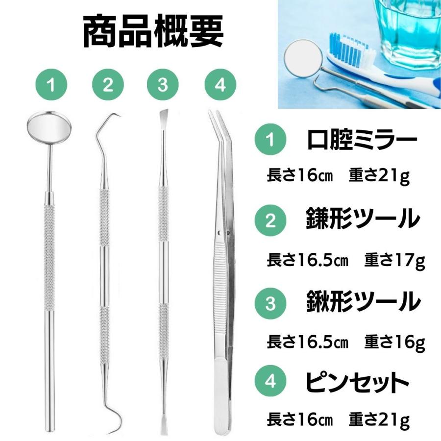 大規模セール 訳あり オーラルケア 歯石取り 器具 セット スケーラー 自分で デンタルケア 犬 口臭予防 歯垢 ヤニ ペット 今ダケ送料無料