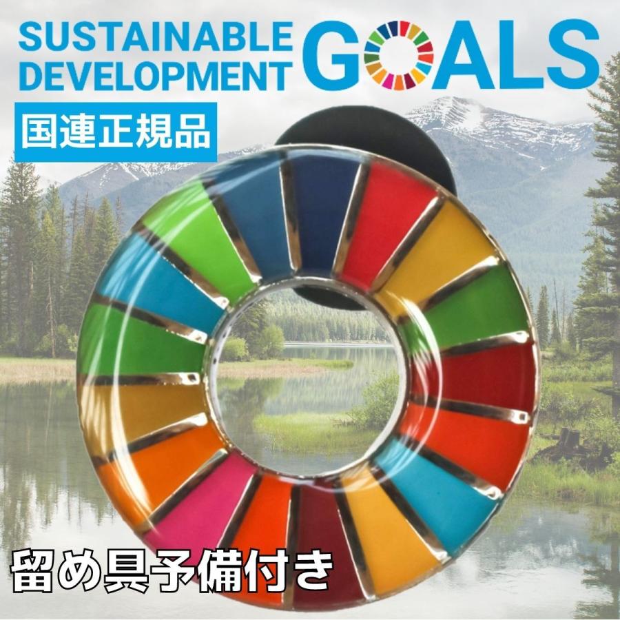 超美品 SDGs バッジ 本物 ピンバッジ 正規品 国連本部限定 丸みのある