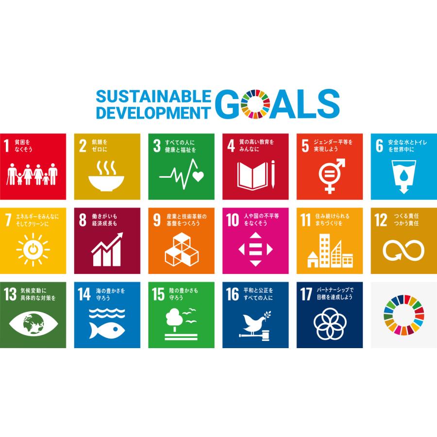 SDGs バッジ 本物 ピンバッジ 正規品 国連本部限定 丸みのあるタイプ 予備の留め具付き 17の目標 バッチ バッヂ ラッピング対応｜enjoy-shopping｜11