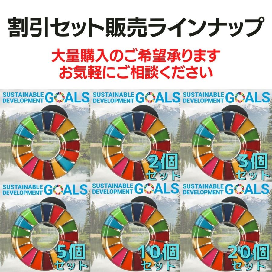 SDGs バッジ 本物 ピンバッジ 正規品 国連本部限定 丸みのあるタイプ 予備の留め具付き 17の目標 バッチ バッヂ ラッピング対応｜enjoy-shopping｜12