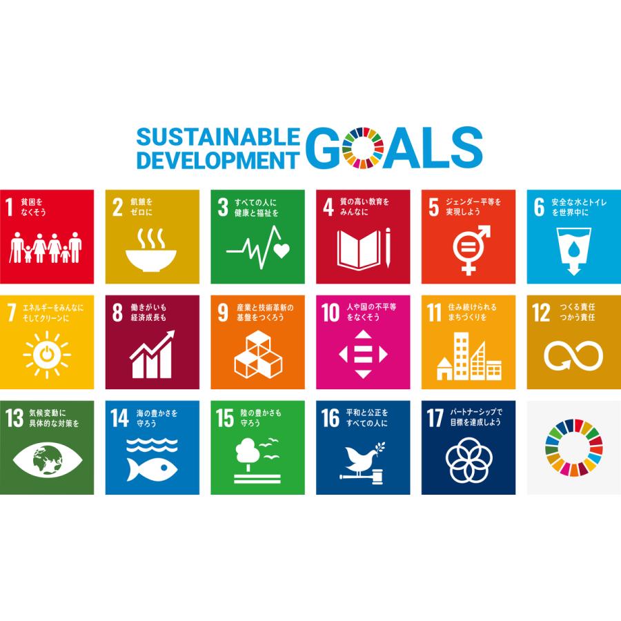 SDGs バッジ 本物 ピンバッジ 正規品 国連本部限定 丸みのあるタイプ 2個 予備の留め具付き 17の目標 バッチ バッヂ｜enjoy-shopping｜10