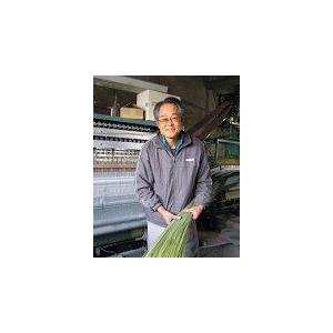 い草アクセントラグ「袋織絣」210×280cm 