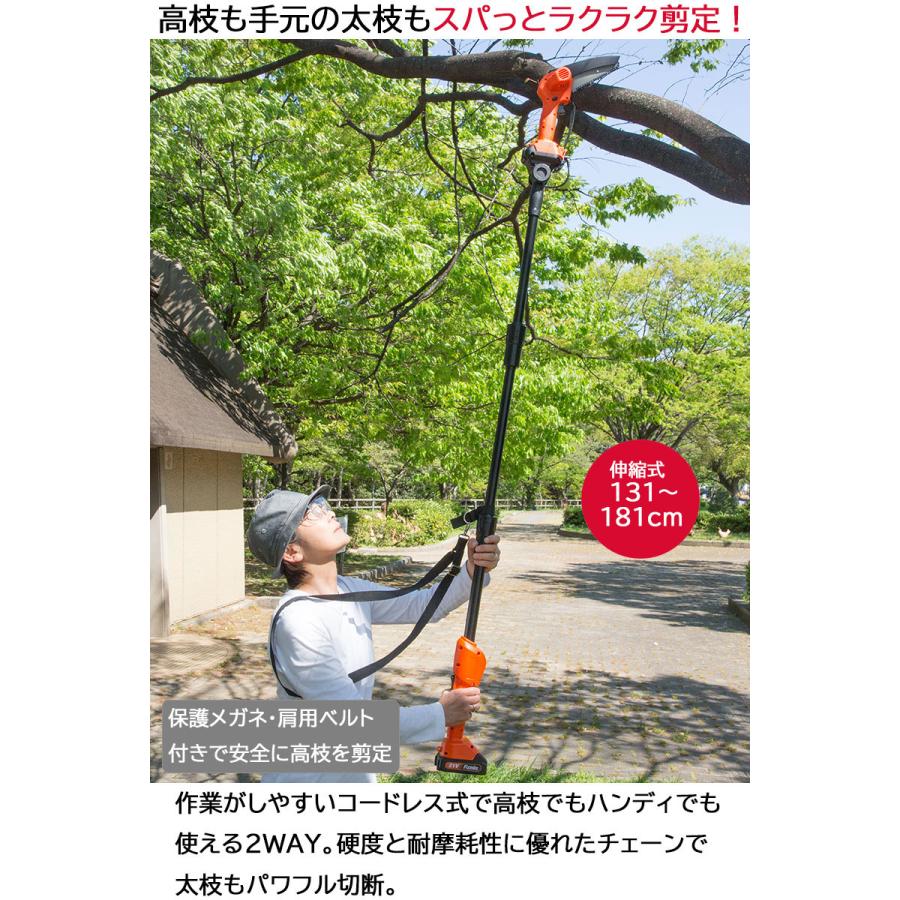 充電式コードレス2WAY高枝チェーンソー 予備バッテリー付き 充電式コードレス2WAY高枝チェーンソー 予備バッテリー付き