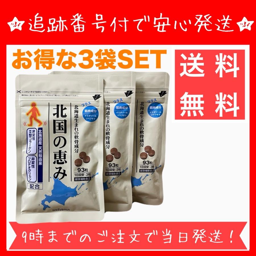 お得な3袋セット】北国の恵み 93粒 ×3袋 サプリ ウェル