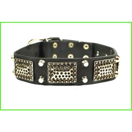 注目の ディーン タイラー Thor 革製犬用カラー66cmx4cm 首の周囲 61cm 71cm 真鍮製プレートとニッケル製スタ 絶対一番安い Www Amalgamatedplantations Co In