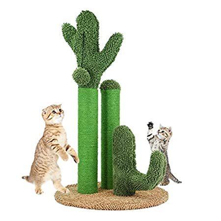 即納最大半額 海外輸入品petybety Catcus Cat Scratching Post Cactus Cat Scratcher With 3 Poles And B好評販売中 B08rdktmq6 エンジョイストア 通販 Yahoo ショッピング メーカー包装済 Www Jolimmo Ch
