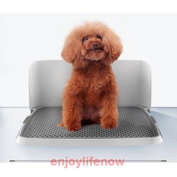 お 交換可能 巧みな 犬 オス トイレ ゴム その 焦がす