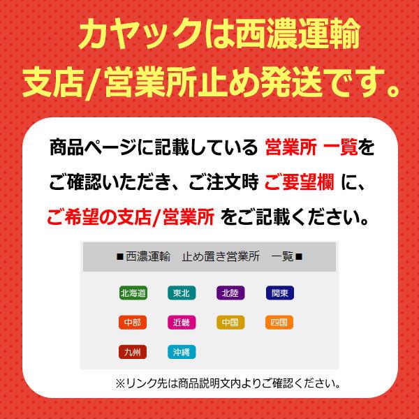 【レビュー投稿でプレゼント】新仕様 10ft フィッシング カヤック ラダー付 全20色 フラッグセット・ドーリー・230cmパドル他 付｜enjoyservice｜40