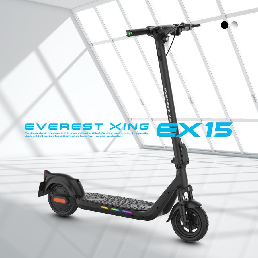 RICH BIT 到着後レビューでプレゼント EVEREST XING EX15 特定小型