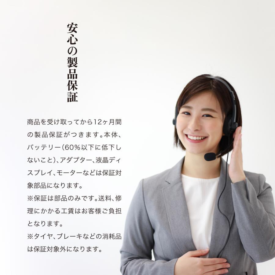 RICH BIT 到着後レビューでプレゼント EVEREST XING EX15 PRO 特定小型