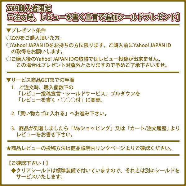 NEORIDERS（ネオライダース） バイク ヘルメット レビュー投稿宣言で