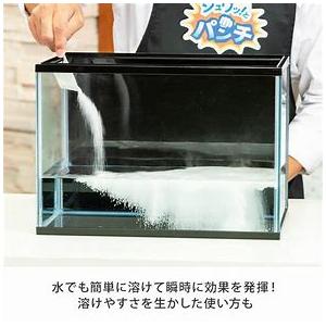 シュワッ！とパンチ 洗浄剤 除菌 漂白剤 消臭 掃除 洗剤 マルチ 