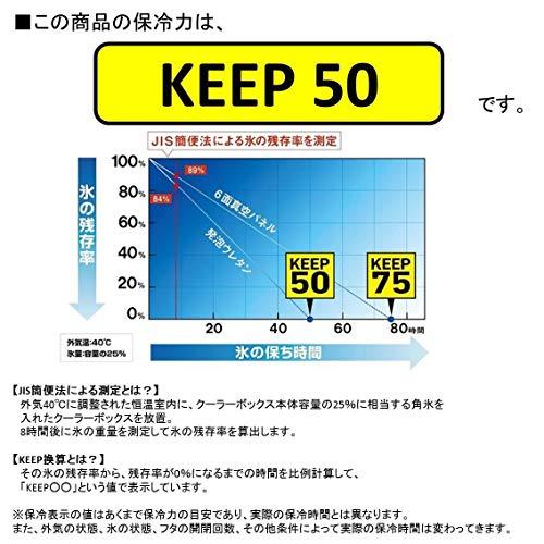 ダイワ(DAIWA) クーラーボックス RX GU1200X ホワイト/ブルー 釣り 小型 12リットル 