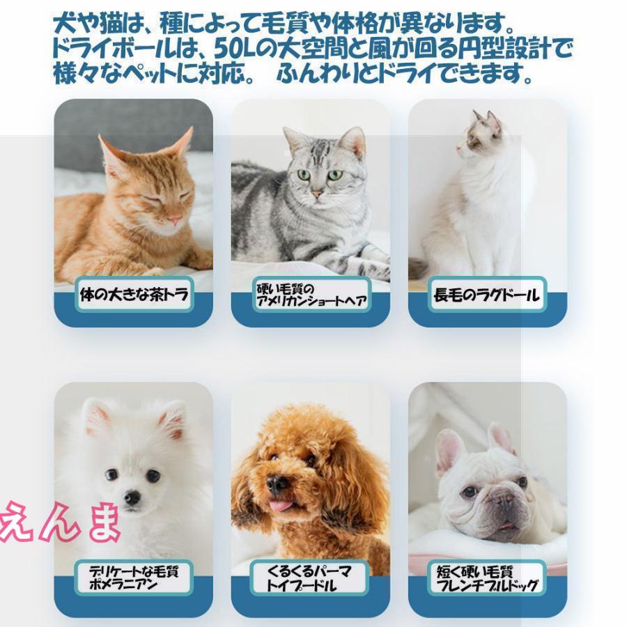 ペット乾燥箱 乾燥ハウス ドライルーム 全自動 静かに乾かせる 犬 猫 完全密閉 お風呂後 小型中型 犬猫兼用 乾燥ケース 速乾 通気 ペットハウス ペット乾燥箱 乾燥ハウス ドライルーム 全自動 静かに乾かせる 完全密閉 お風呂後 小型中型 犬猫兼用 乾燥ケース 速乾 通気 ペットハウス