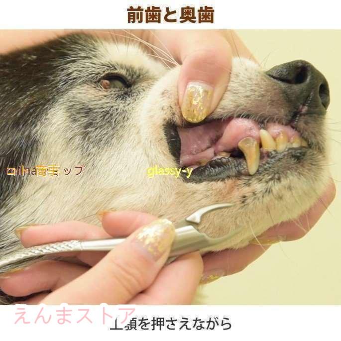 愛犬・愛猫用 歯石取り ペンチ 犬 歯石 デンタルケア ホームケア 猫 プロも愛用｜enmastore｜07