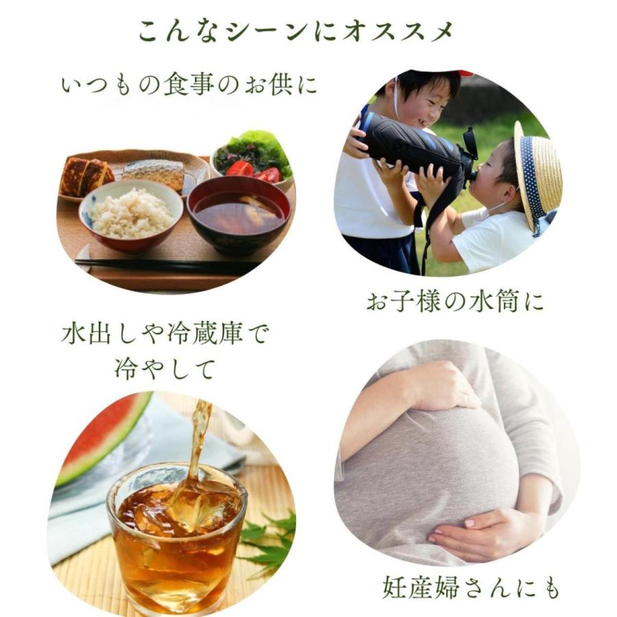 【公式】お得用えんめい茶60包 黒姫和漢薬研究所 無添加 ブレンド茶 ノンカフェイン カフェインレス 健康茶 お茶 ティーバッグ クマザサ ハトムギ 送料無料 |  | 03