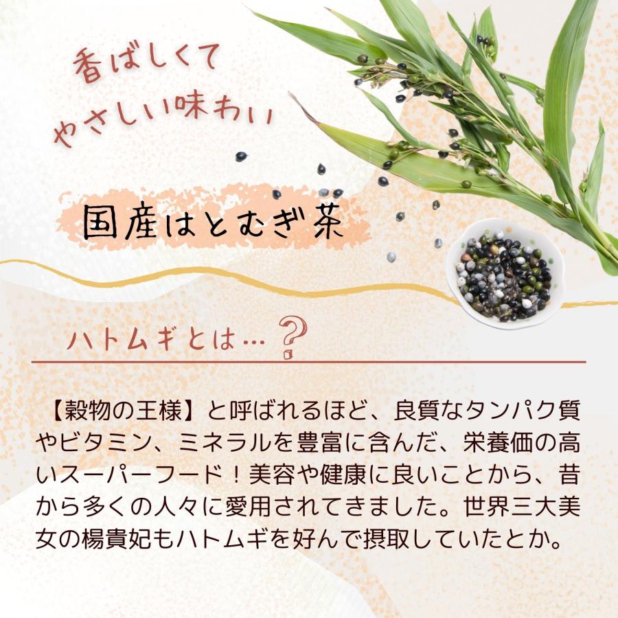 【公式】 野草茶房国産はとむぎ茶 ティーバッグ 3.5g×28包 健康茶 ノンカフェイン 送料無料 黒姫和漢薬研究所 美肌 ハトムギ茶 国産はと麦茶 健康茶 水出し |  | 01