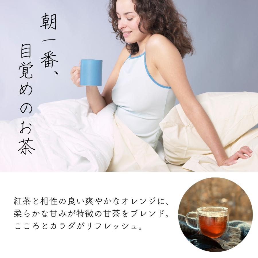 【公式】ほどけるオレンジティー 漢方 ブレンドティー  無添加 工場直送 送料無料 黒姫和漢薬研究所 紅茶 甘茶 モーニングティー ギフト お茶 |  | 01