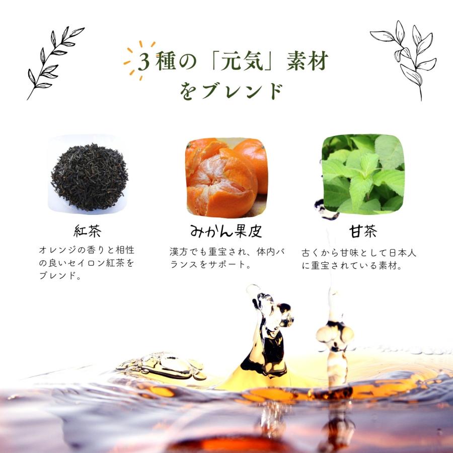 【公式】ほどけるオレンジティー 漢方 ブレンドティー  無添加 工場直送 送料無料 黒姫和漢薬研究所 紅茶 甘茶 モーニングティー ギフト お茶 |  | 02