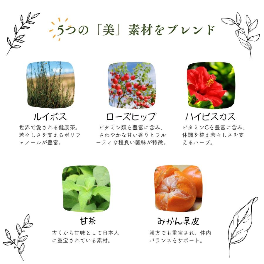 【公式】ローズヒップとうるおいルイボスティー 漢方 ブレンドティー ノンカフェイン カフェインレス  送料無料 黒姫和漢薬研究所 ルイボス 潤い ギフト お茶 |  | 02