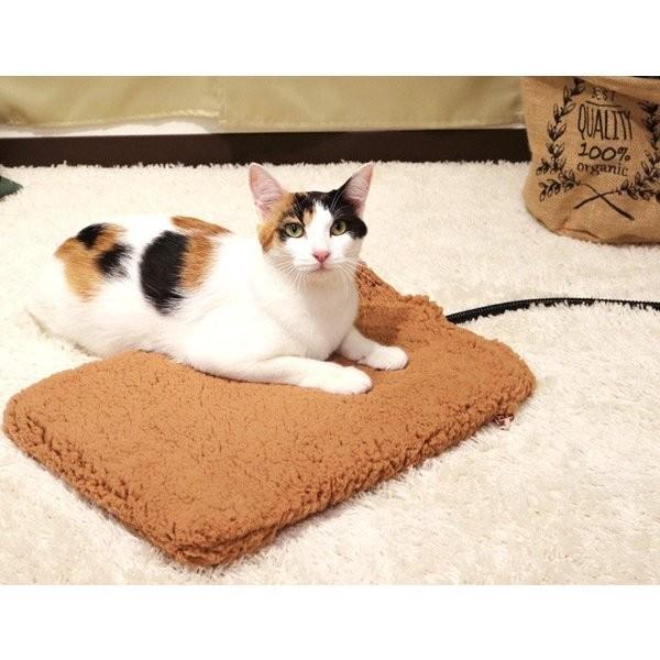 ドギーマン 遠赤外線テキオンヒーター 水洗い！L 秋冬 ペット用