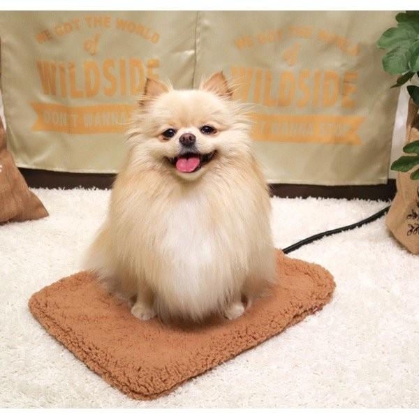 ドギーマン 遠赤外線テキオンヒーター 水洗い！L 秋冬 ペット用