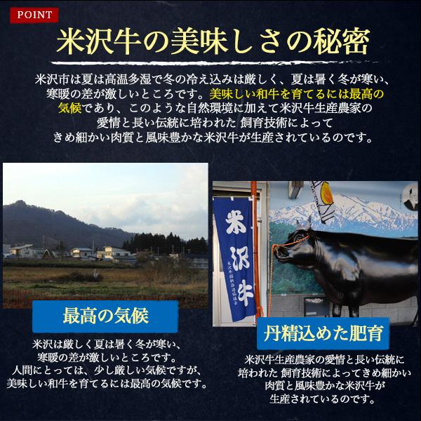 米沢牛 黒毛和牛 シャトーブリアン ステーキ 150g A5ランク 牛肉 ヒレ 希少部位 鉄板焼 バーベキュー BBQ ギフト プレゼント お祝い 誕生日 記念日 のし対応の画像