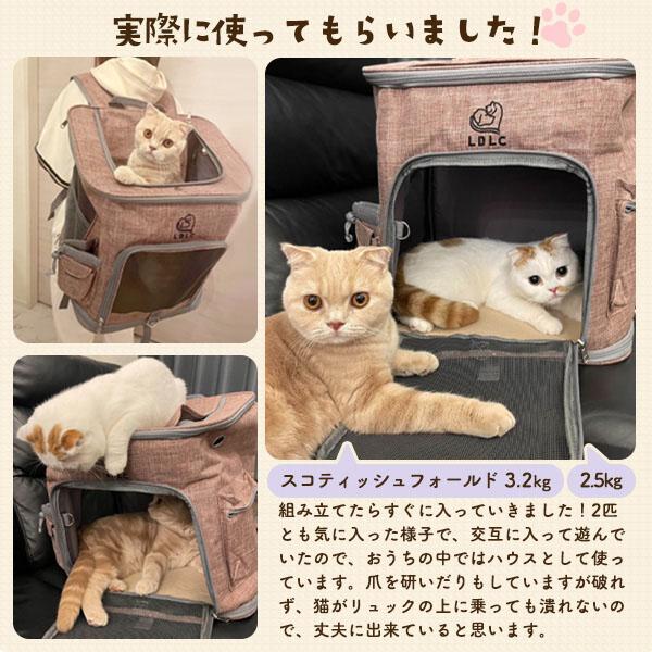 美品 Coconte ペット キャリーバッグ リュックサック 猫 小型犬 cat ペット キャリー リュック 超小型犬 小型犬 猫 ねこ かばん 軽量
