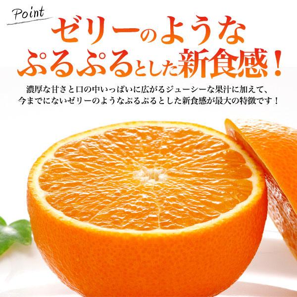 のし対応・領収書発行可 贈答用 紅まどんな 7-10玉 秀品以上 L〜2L