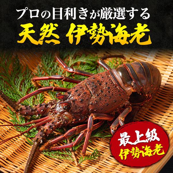 冷凍伊勢海老⚠️二児パパ商品⚠️