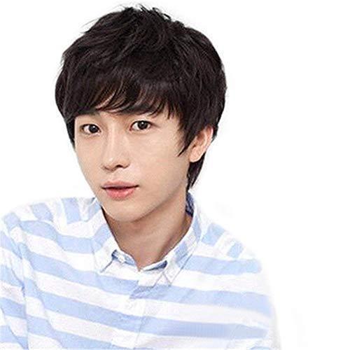 完璧 Remeehi Remeehi人毛ウィッグ 自然 男子用 ファッションウィッグ フルウィッグ ストレート メンズ用 ショートウィッグ メンズアクセサリー