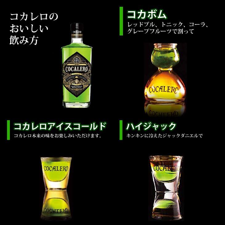 12日(日)限定店内全品+2% コカレロ COCALERO 700ml×６本 リキュール 29度 箱なし 送料無料｜enokishouten｜02