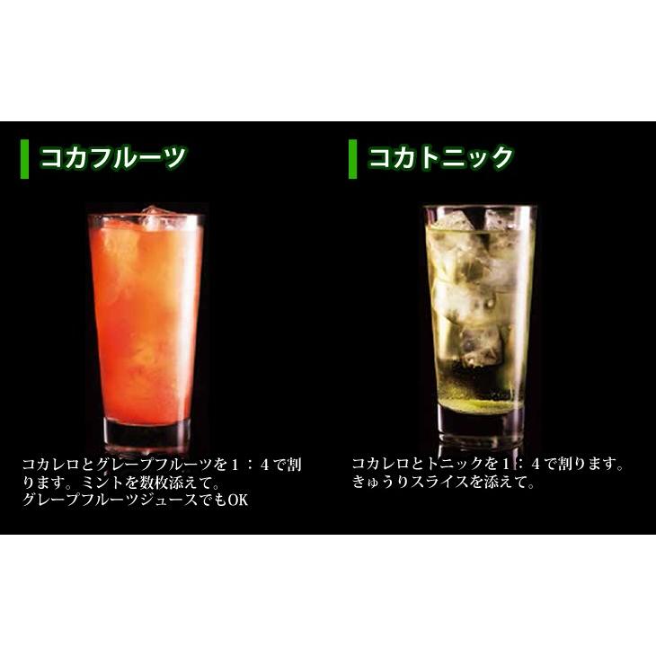 12日(日)限定店内全品+2% コカレロ COCALERO 700ml×６本 リキュール 29度 箱なし 送料無料｜enokishouten｜03