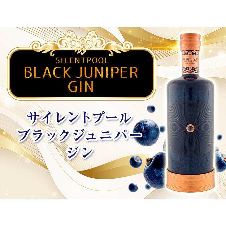 SILENT POOL サイレントプール ブラックジュニパー 1000ml ジン SILENT POOL サイレントプール ブラックジュニパー 1000ml ジン