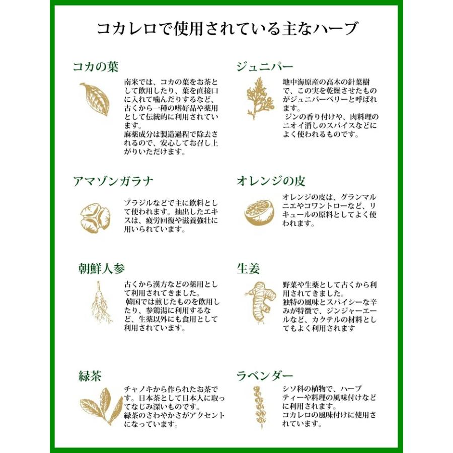 コカレロ Cocalero ボムグラス2個付き 700ml リキュール 29度