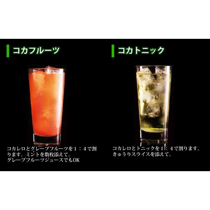 コカレロ Cocalero ボムグラス2個付き 700ml リキュール 29度