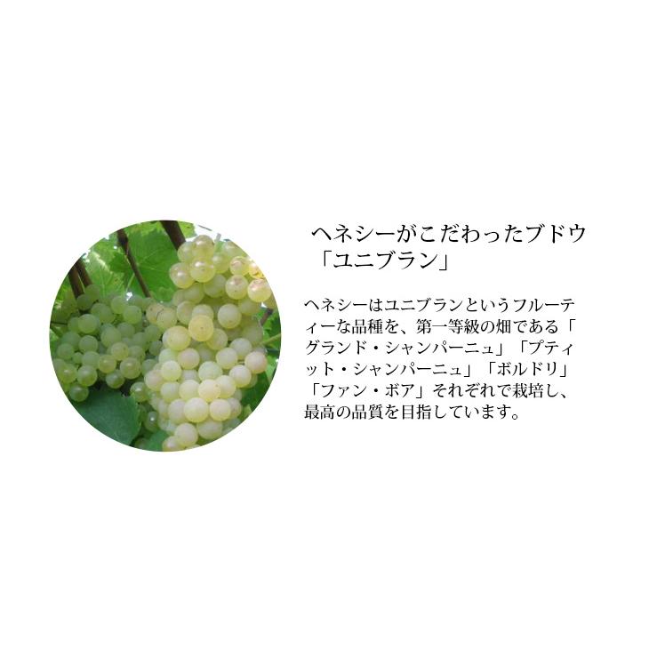 送料無料 ヘネシー VS 700ml ブランデー コニャック 40度 正規品|enokishouten|05