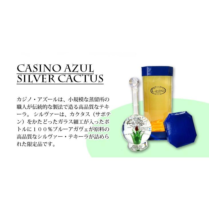 26日(日)限定店内全品+3% カジノ アズール シルバー カクタス 750ml