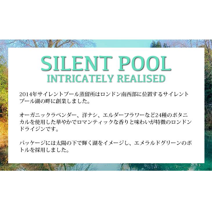 送料無料 サイレントプール 700ml ジン 43度 正規品 箱付 榎商店PayPayモール店 - 通販 - PayPayモール 送料無料 サイレントプール 700ml ジン 43度 正規品 箱付 榎商店PayPayモール店 - 通販 - PayPayモール