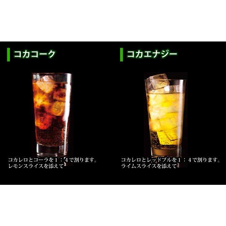 コカレロ COCALERO 700ml×12本セット リキュール 29度 送料無料 : 榎