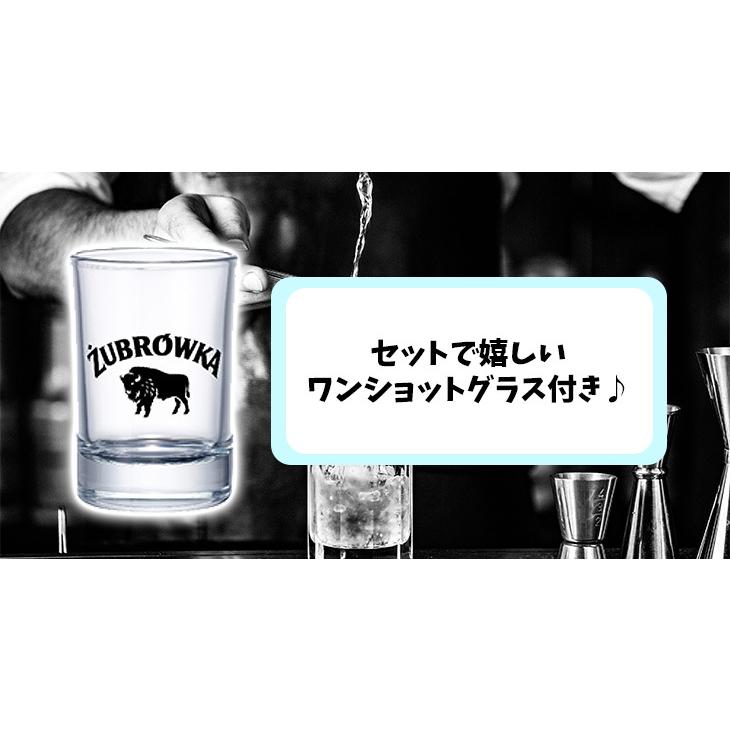 ズブロッカ バイソングラス オリジナルショットグラス付 500ml