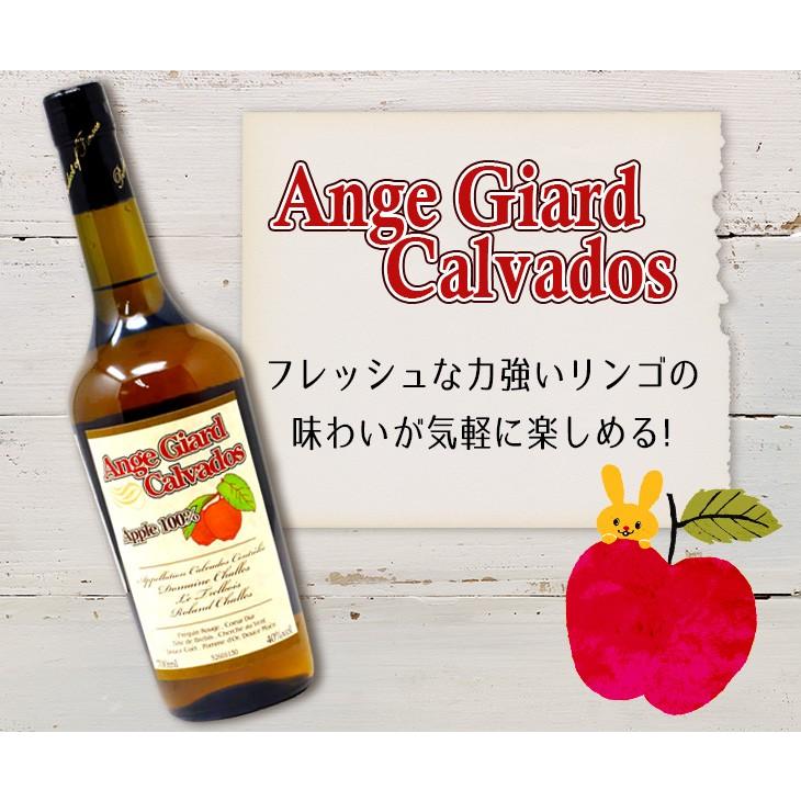 アンジュ ジアール セパージュ カルバドス アップル100％ 700ml