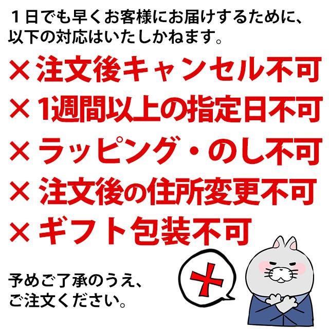 ザ ボタニスト＆KOZUE-槙 飲み比べセット 700ml 各1本 ジン 47度 正規品 箱なし 送料無料｜enokishouten｜08