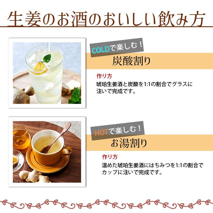 生姜のお酒 700ml リキュール 14度 正規品 箱なし 養命酒製造 送料無料 |  | 05