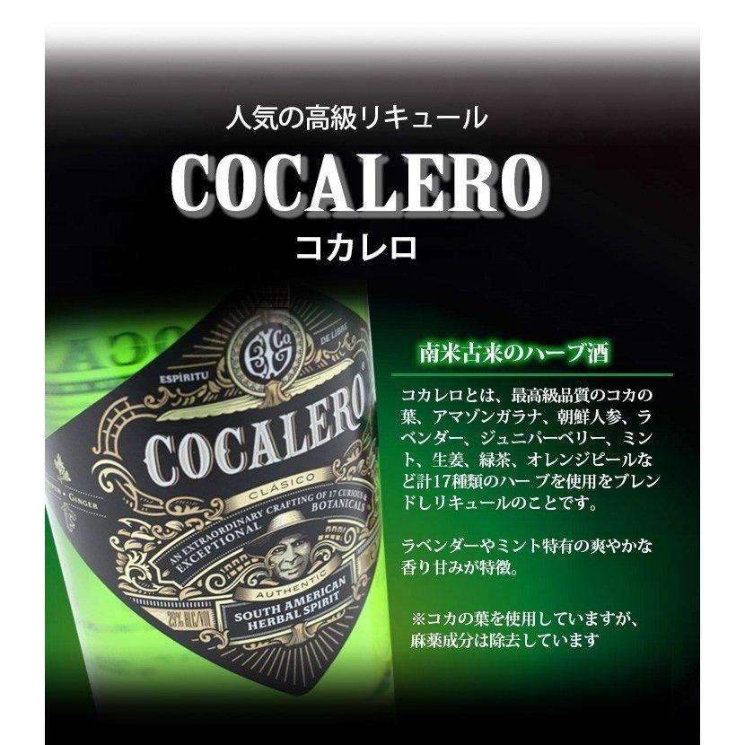 23日(日)限定店内全品+2% コカレロ COCALERO 700ml×18本セット